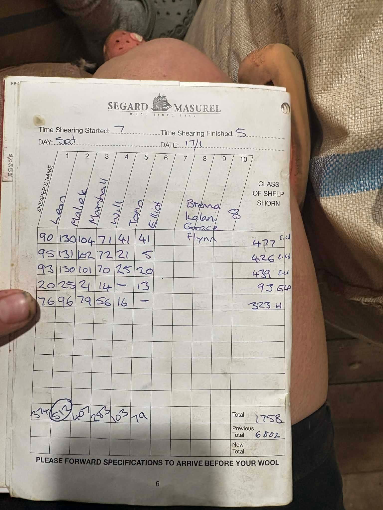 Shearing tally book